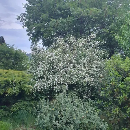 Semesterbostad Accueillante Au Coeur Des Cevennes