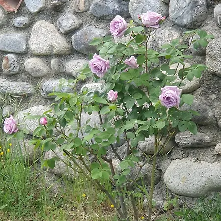 Casa de Férias Accueillante Au Coeur Des Cevennes Molieres-Cavaillac