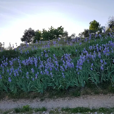 Accueillante Au Coeur Des Cevennes Casa de Férias *