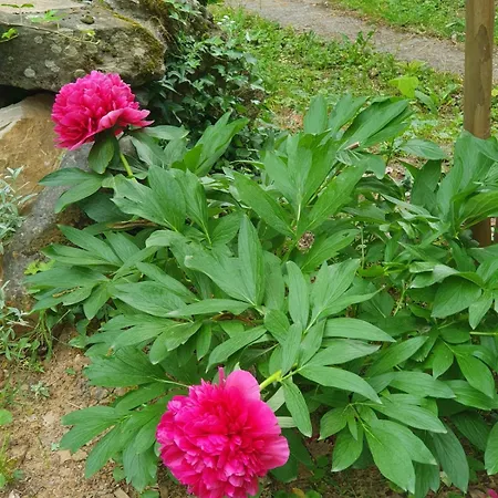 Accueillante Au Coeur Des Cevennes
